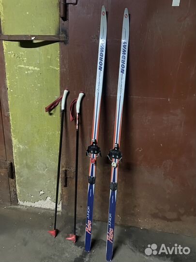 Беговые лыжи tisa, nordway, karhu