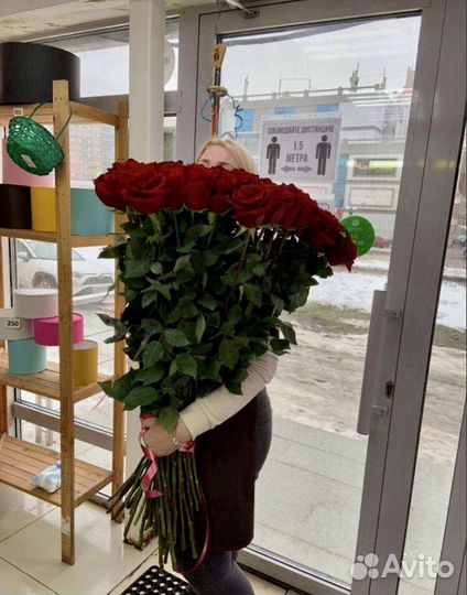 Метровые розы