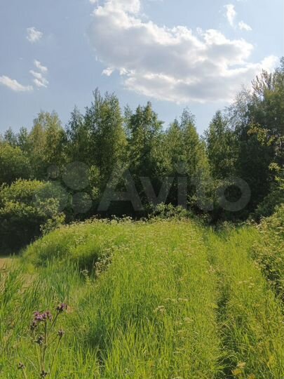 Участок 12 сот. (СНТ, ДНП)