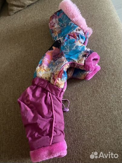 Утепленный костюм для собаки