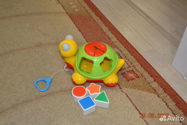 Черепаха TOY kiddieland