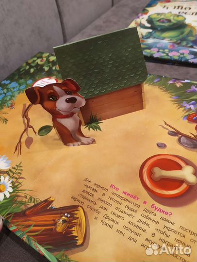 Новые книги