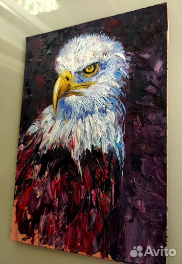 Белоголовый орел картина маслом с птицей 20х27 см
