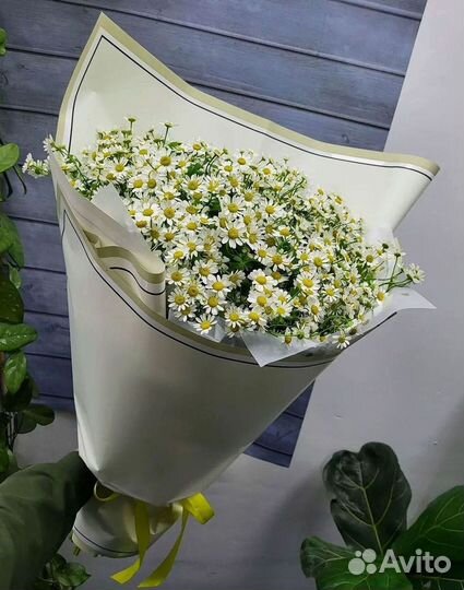 Ромашки букет