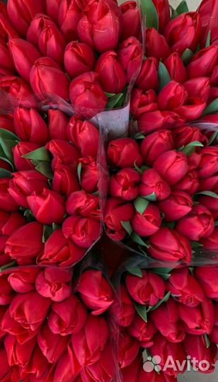 Тюльпаны к 8 марта оптом