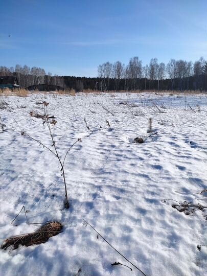 Участок 23,5 сот. (ИЖС)