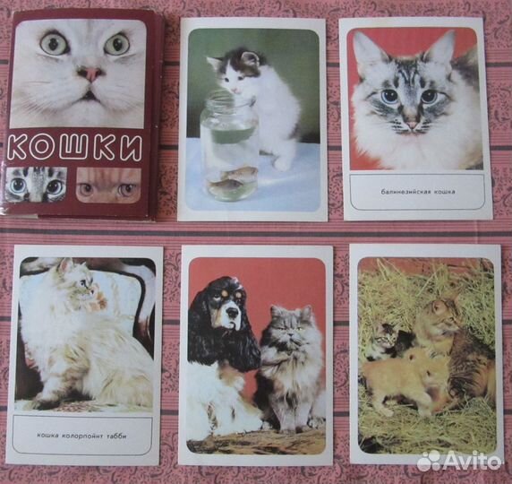 Набор открыток 