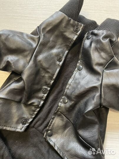 Одежда для средних собак