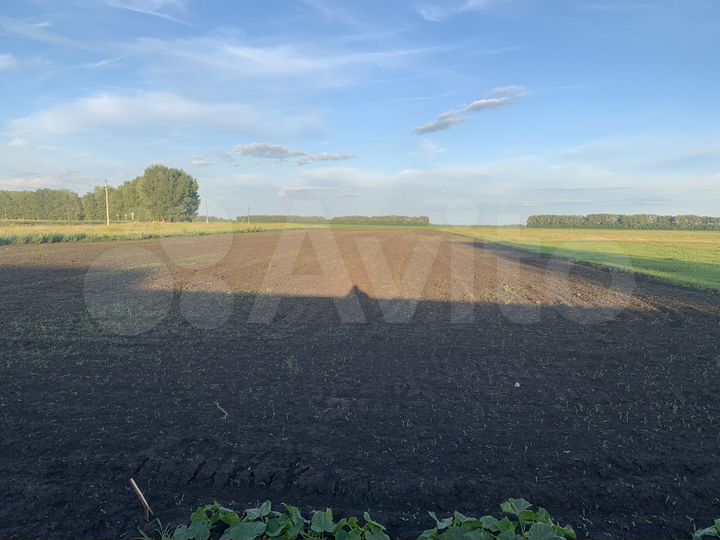 Участок 47 сот. (СНТ, ДНП)