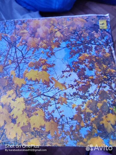 Виниловые грампластинки