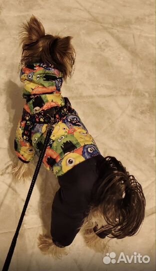 Комбинезон для собак зимний