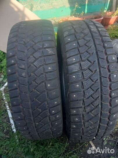 Viatti Brina Nordico V-522 195/65 R15