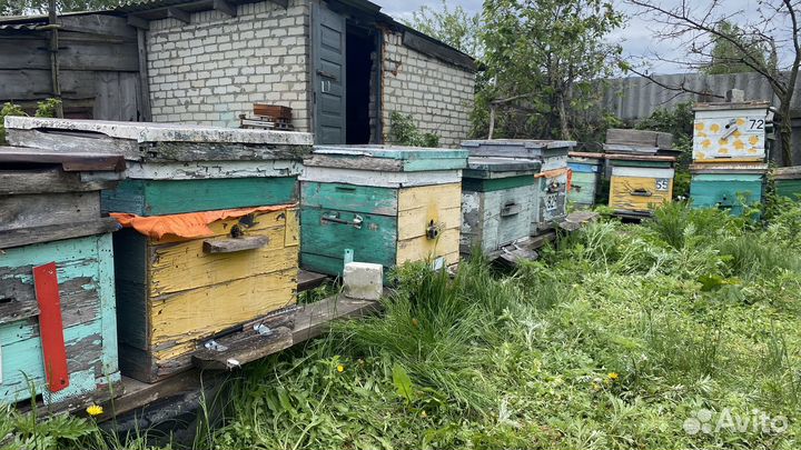 Улья для пчел