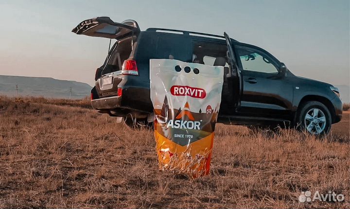 Премикс П5 для цыплят-бройлер 1-4 недель