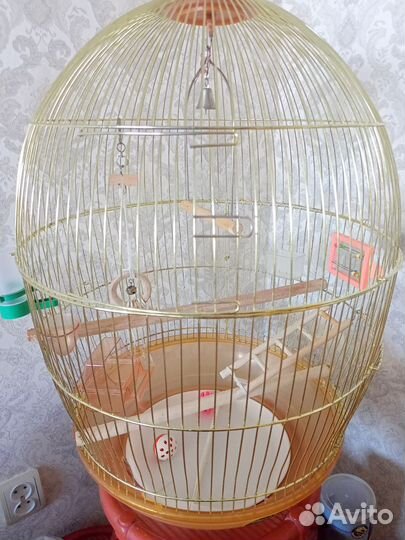 Клетка для попугая корелла