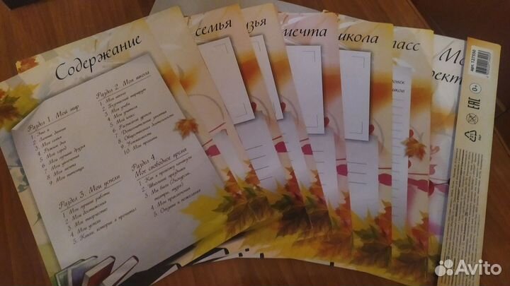 Портфолио школьника