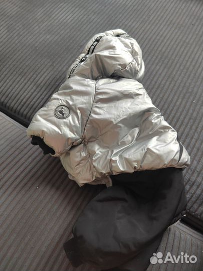 Комбинезон и жилет на чихуа 4 кг