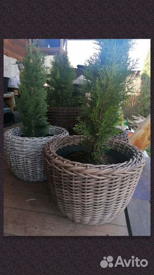 Корзины из ротанга