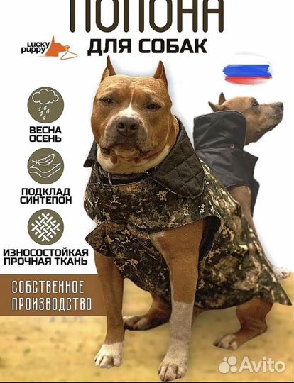 Попона одежда для собак