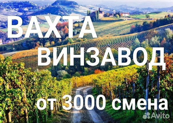 Укладчик на линию Вахта винзавод