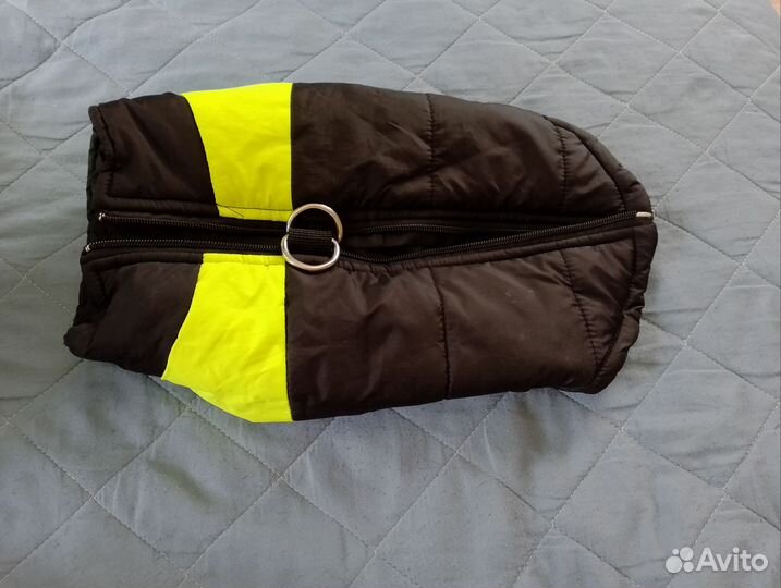 Одежда для маленьких собак