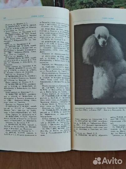 Книги про собак, М. Сотская, каталог мголс