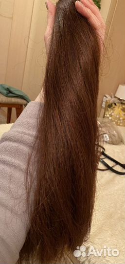 Шиньон (хвост)