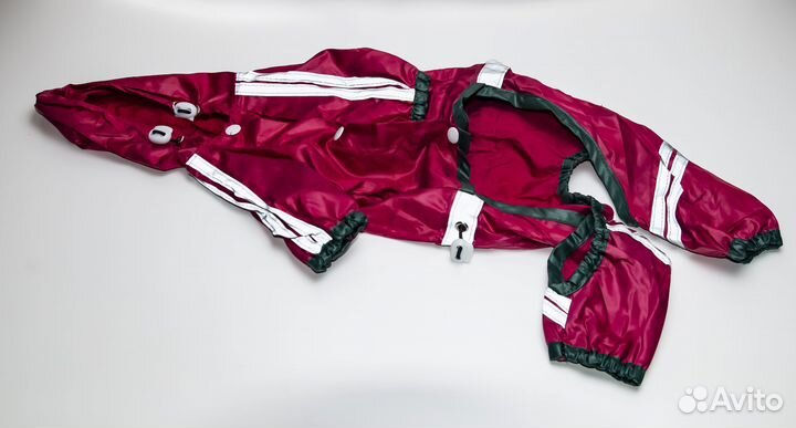 Одежда для собак мелких пород