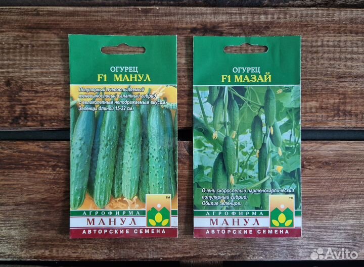 Семена огурцов Манул