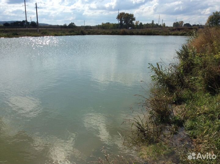 Платная рыбалка