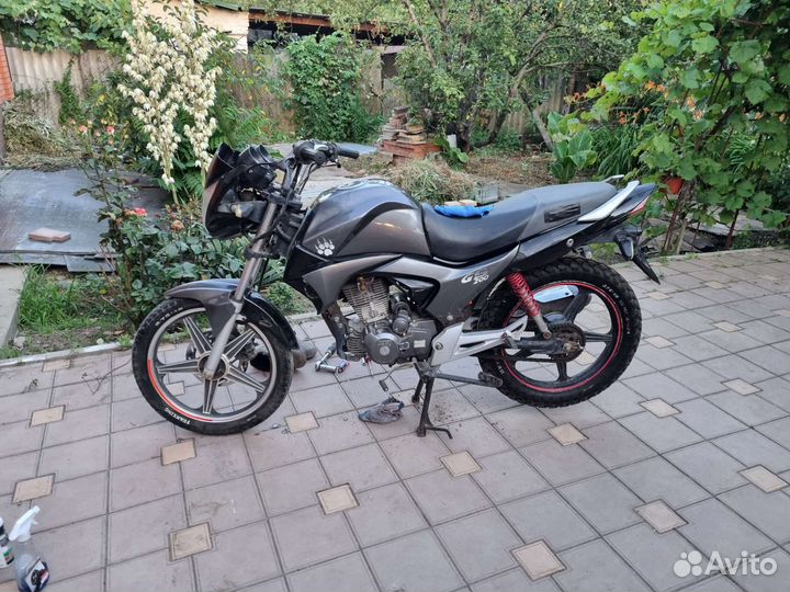 Irbis GS 200