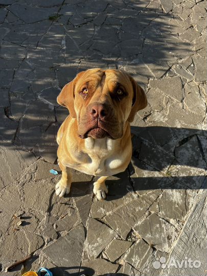 Бурбуль для вязки