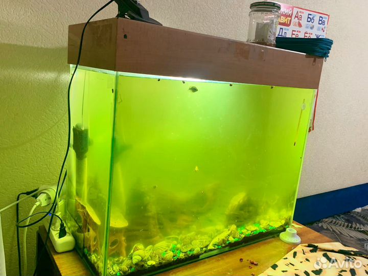 Аквариум
