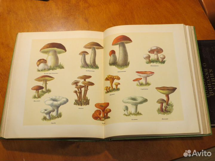 Книга о вкусной и здоровой пище