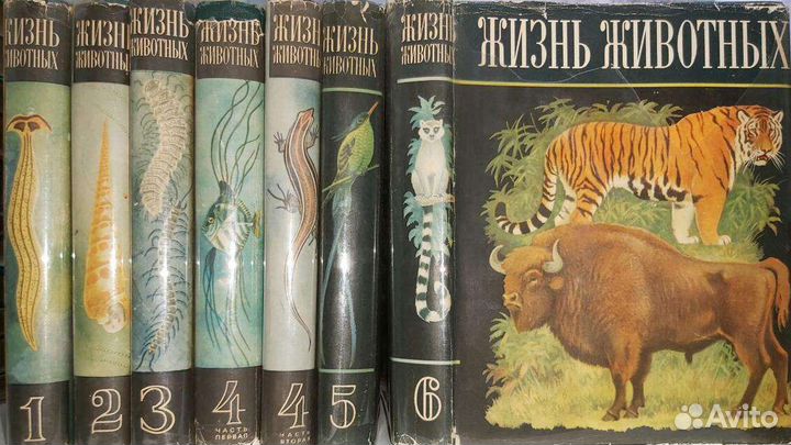 Книги жизнь животных 1968-1971