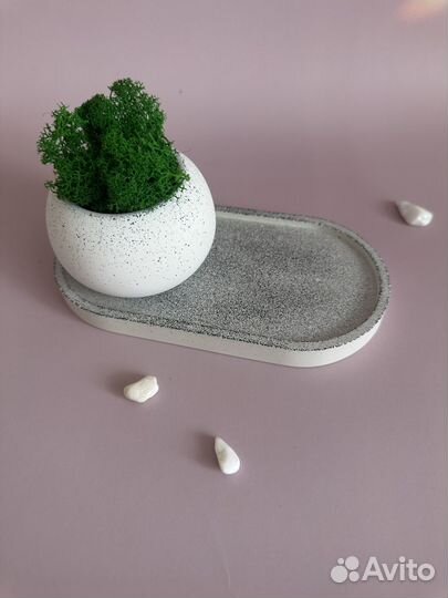 Кашпо для суккулентов из гипса