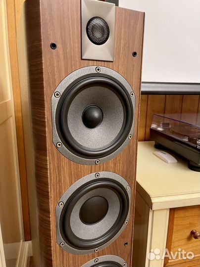 Колонки Focal chorus 726 walnut как новые