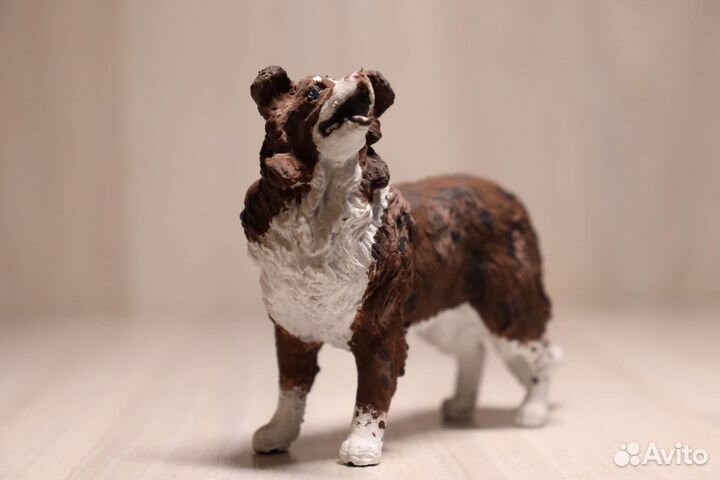 Бордер колли papo