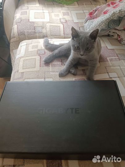 Видеокарта AMD Radeon R9 290x (торг)