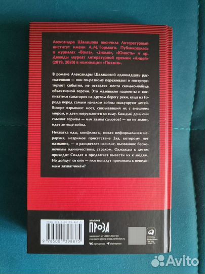 Книга Салюты на той стороне. А. Шалашова