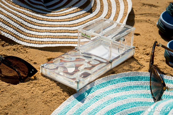 Ферма с муравьями / Формикарий