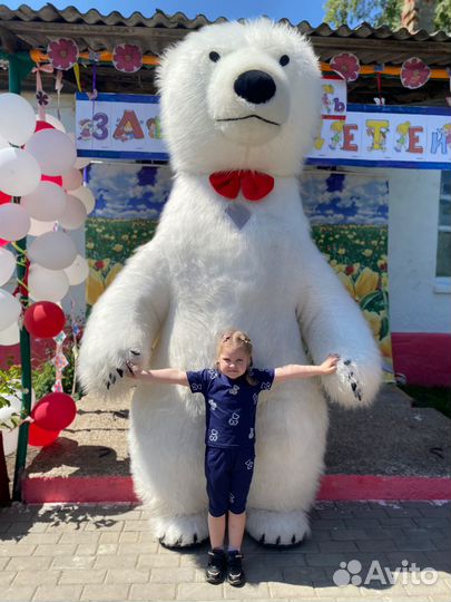 Белый мишка аниматор