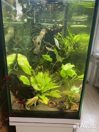 Аквариум 160 литров