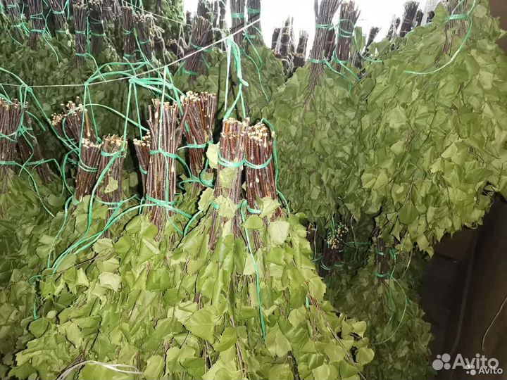 Веники березовые для бани