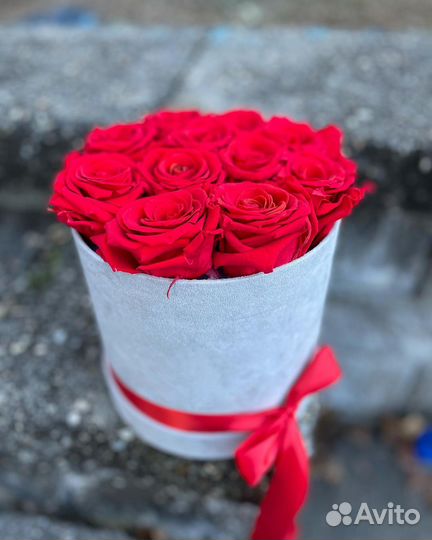 Композиции из Роз в Коробках. Цветы. Розы