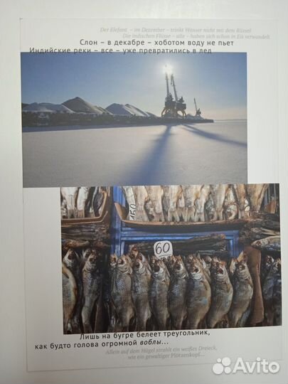 Редкие открытки Shots stories 7штук