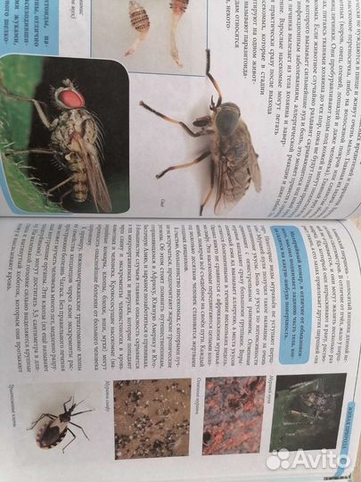 Живая природа для детей