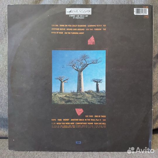 Pink Floyd - Delicate Sound Of Tunder 2 LP