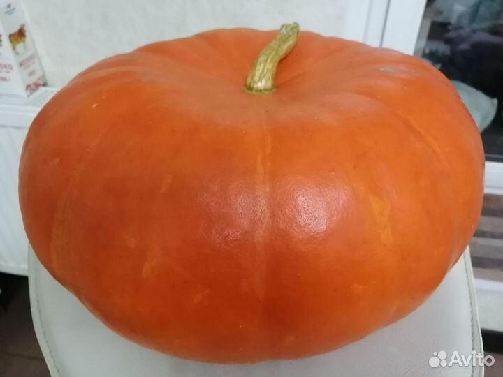 Семена сладкой тыквы