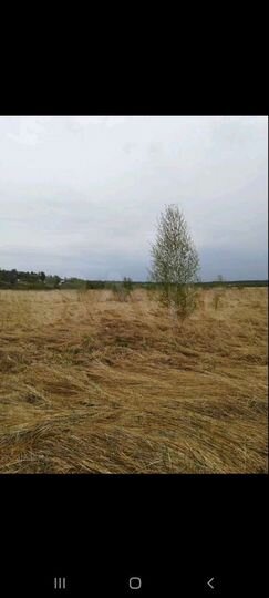 Участок 100 сот. (СНТ, ДНП)